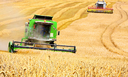 При отсутствии по объективным причинам дохода  от реализации применять ЕСХН можно