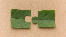 Раздельный учет по государственному оборонному заказу (ГОЗ): правила и изменения на 2026 год