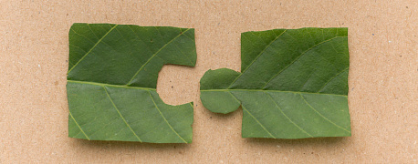 Раздельный учет по государственному оборонному заказу (ГОЗ): правила и изменения на 2026 год