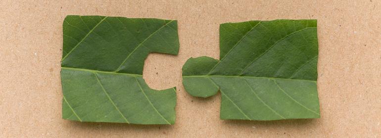 Раздельный учет по государственному оборонному заказу (ГОЗ): правила и изменения на 2026 год