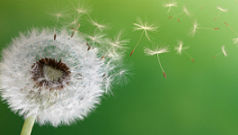 Ветер перемен: к чему готовиться малому бизнесу