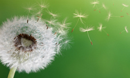 Ветер перемен: к чему готовиться малому бизнесу