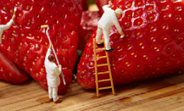 Тариф страхового взноса при ведении нескольких видов бизнеса