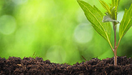 Как правильно рассчитать земельный налог?