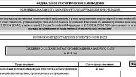 Как заполнить новую форму статистического наблюдения № 1 (рабочая сила)