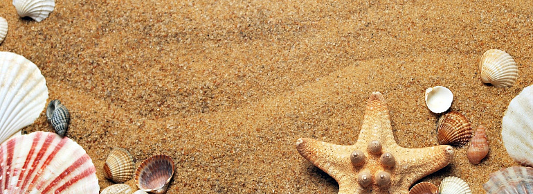 Отдых за счет организации: как учесть расходы