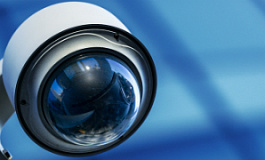 Об освобождении торговых сетей от налога на прибыль с похищенного товара