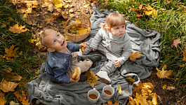 В какой срок нужно сообщить в СФР об утрате работником права на пособие по уходу за ребенком 