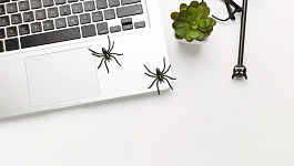 Каким образом могут быть прекращены полномочия директора?