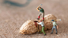 Как учесть выплату заработной платы