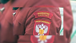 Роспотребнадзор: что нужно и важно знать о проверках