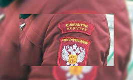 Роспотребнадзор: что нужно и важно знать о проверках