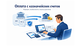 Правила оплаты с казначейского счета