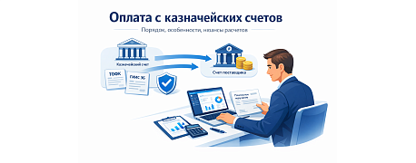 Правила оплаты с казначейского счета
