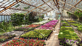 Расширен перечень расходов, по которым можно применять повышенный коэффициент