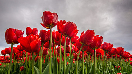 Выгодно ли брать отпуск в мае?