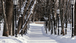 Главное с 3 по 8 декабря 2023 года: обновлены формы персучета, новая КУДиР с 2024 года, подготовка к годовой отчетности 