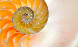 Что такое поисковые активы