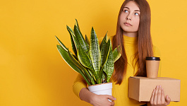 Как считать две недели отработки при увольнении