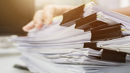 Отчетность в реорганизуемой компании