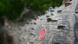 Зарплаты топ-менеджмента страховых компаний и НПФ сокращены до минимума