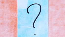 Камеральная проверка по НДС: когда подтверждаем освобождение