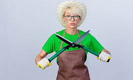 Компании на УСН вправе уменьшить доход на НДС с аванса, полученного до начала уплаты НДС