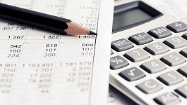 Калькулятор налоговой нагрузки