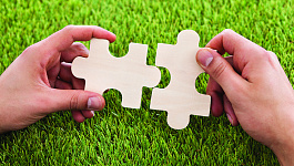 Что, если использовать часть участка не по прямому назначению?