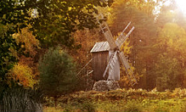 Налогообложение платы в счет возмещения вреда, причиняемого автодорогам