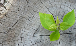 Об изменениях в законодательстве о бухгалтерском учете