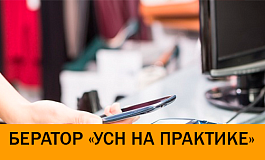 Какие реквизиты содержит кассовый чек и БСО