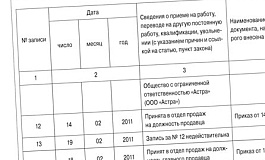 Как правильно исправить ошибки в трудовой книжке
