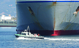 Транспортный налог при УСН