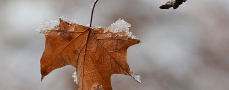 Новости последней недели ноября 2025 года: УСН, торговый сбор, детские пособия с 2026 года