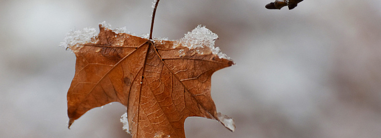 Новости последней недели ноября 2025 года: УСН, торговый сбор, детские пособия с 2026 года