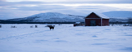 Как дистанционщику подтвердить работу в условиях Крайнего Севера?