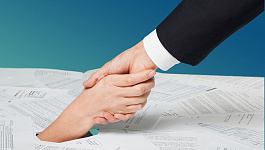 Какие отчеты не может заменить единая упрощенная декларация