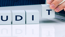 Аудит: кому, когда и зачем 