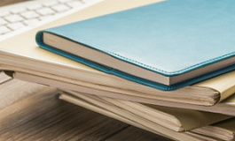 Отмена аудита