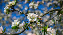 Новая форма РСВ, технологический сбор: новости недели с 13 по 17 апреля 2026 года