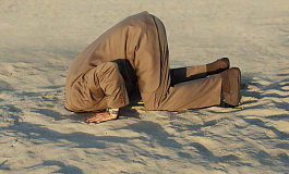 После отчетности бухгалтеры боятся налоговиков 