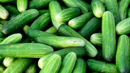 Налогообложение средств финансовой помощи для КФХ