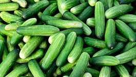 Продажа сельхозпродукции с НДС и без