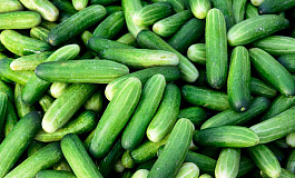 Продажа сельхозпродукции с НДС и без