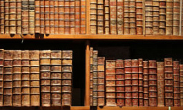 Применение главы 23 Налогового кодекса РФ