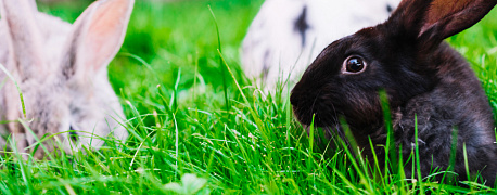 В каких случаях нужно менять штатное расписание