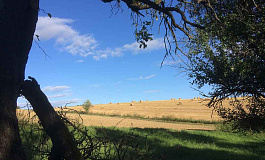 Изъятие земельных участков