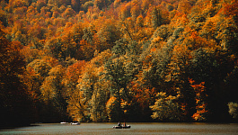 Важные новости первой недели октября 2025 года: выплаты по больничному, новый МРОТ, электронная транспортная накладная