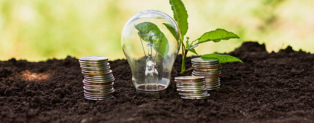 Как учесть переплату по земельному налогу и нужна ли уточненка